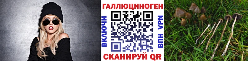 где купить   ссылка на мегу ссылка  Галлюциногенные грибы Psilocybe  Бугульма 