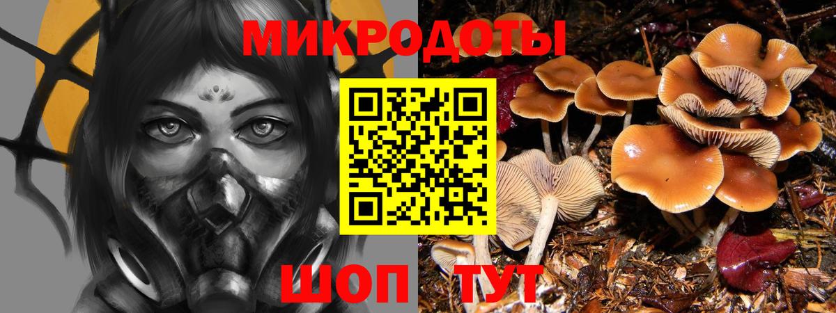 Бугульма  купить наркоту  Псилоцибиновые грибы Cubensis  Вход с VPN  Галлюциногенные грибы ЛСД 