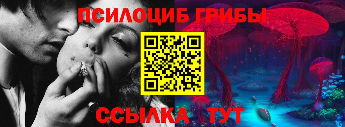 Галлюциногенные грибы ЛСД Бугульма